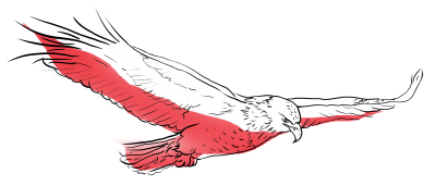 Agregat prądotwórczy 3-fazowy do domu